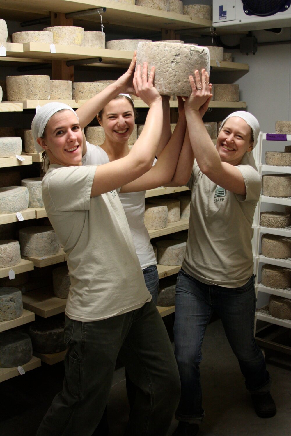 Appleton Farm hold up cheese.jpg